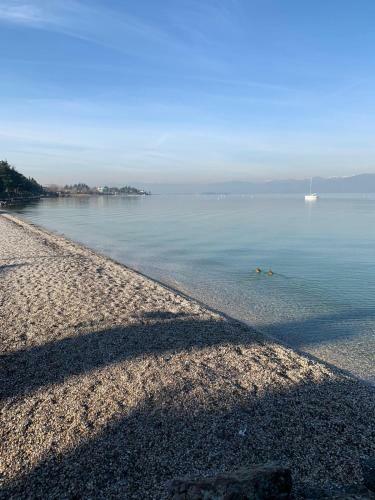 Hostal Camera Monica