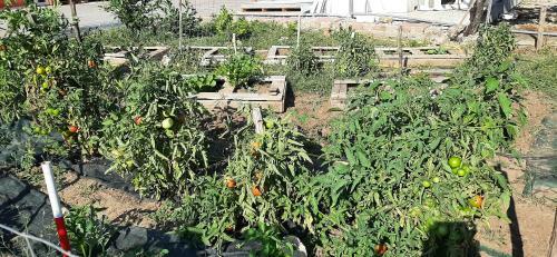 Agroturismo Sotto Li Foj