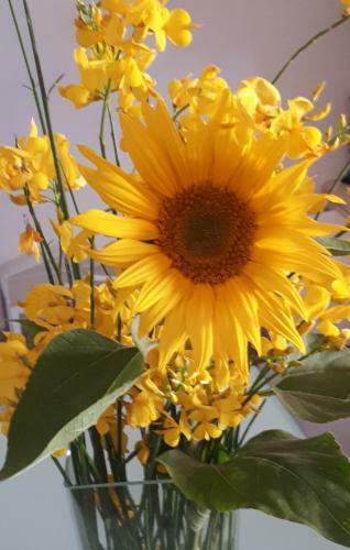 Bed & Breakfast Il Girasole Del Lago