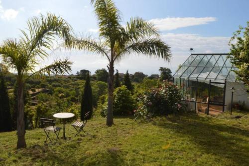 Etnalodge Converted Palmento (sleeps 7, Self-catering)