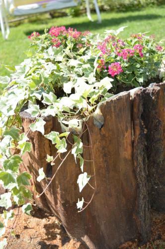 B&B Alle Betulle