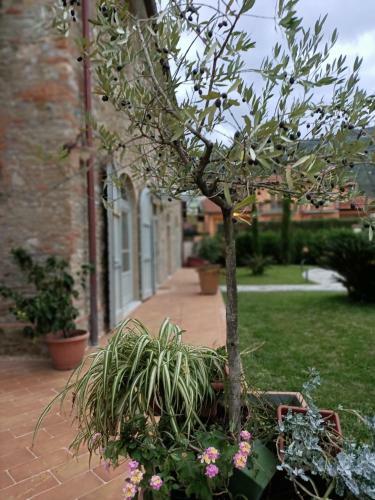 Bed & Breakfast Casale1918