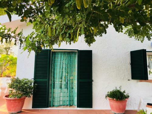 Apartamento Villa Il Carrubo - Basilicata