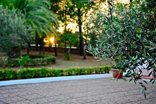 Apartamento Villa Il Carrubo - Basilicata