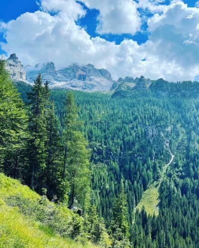 Apartamento Dolomiti House