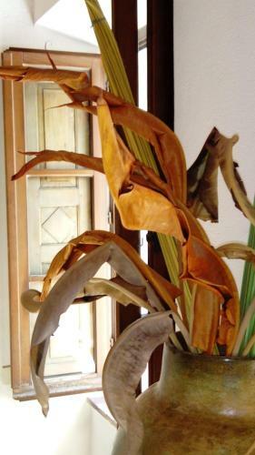 Apartamento Pitigliano Old Town Kick Bestlocated