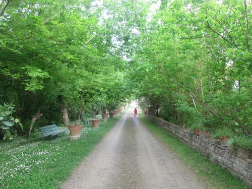 Apartamento Giaggiolo