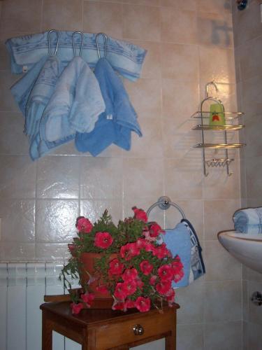 Apartamentos L�era De Baix