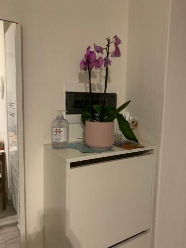 Apartamento Pisa Train Station Guest House