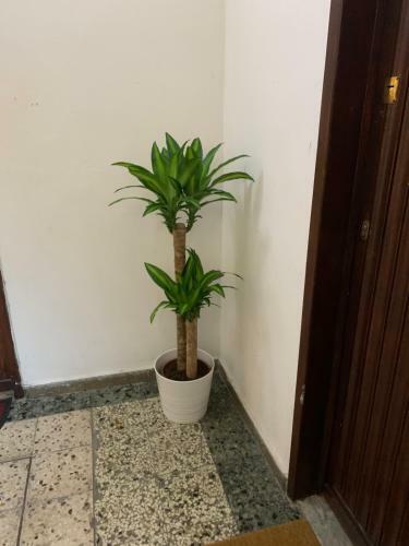 Apartamento Pisa Train Station Guest House