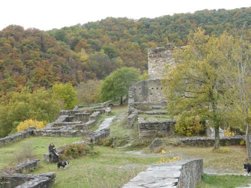 Vakantiehuis Hunsr�ck
