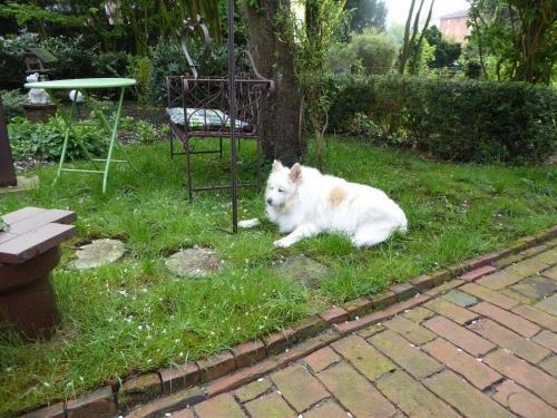 Apartamento Gro�strasse 18 A