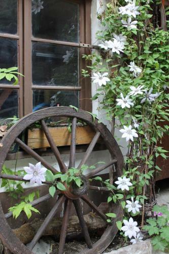 Apartamento Feriengut Zum Trinkstorch