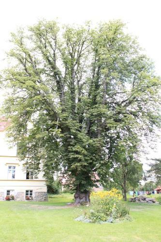 Apartamento Schloss Lelkendorf - Fewo Parkblick