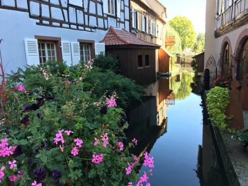 Apartamentos Ferienwohnung Am Waldrand