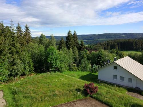 Apartamentos Black Forest Bollenhut Deluxe