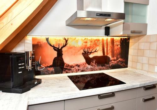 Apartamentos Black Forest Bollenhut Deluxe
