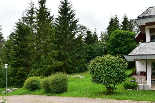 Apartamentos Black Forest Bollenhut Deluxe