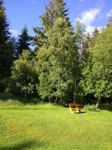 Apartamentos Black Forest Bollenhut Deluxe