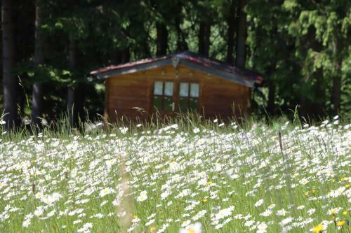 Apartment Am Nationalpark Bayerwald