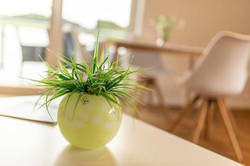 Apartamento Ferienwohnungen "am M�hlenberg"