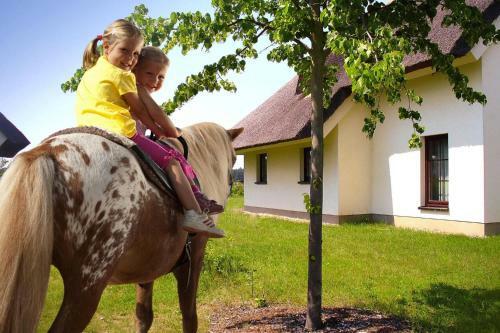 Holiday Resort Van Der Valk Linstow - Dms02134-fyd