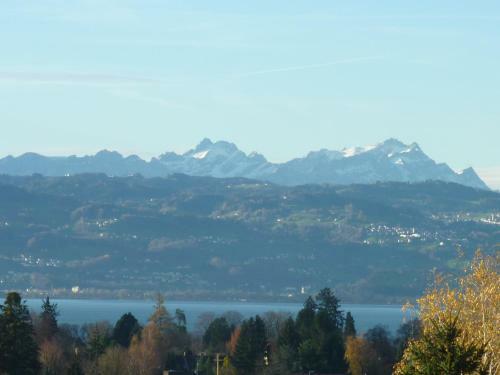 Apartamentos Ferienwohnungen Dreher - Seeblick