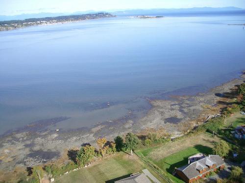 Beach House Bed And Breakfast