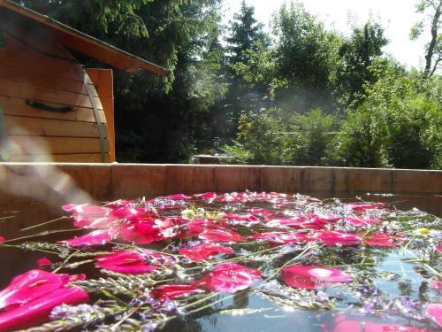 Landhotel Burgenblick
