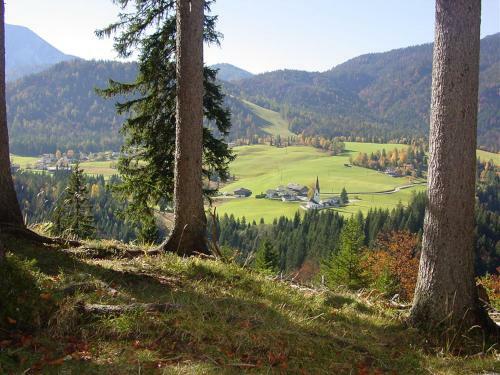 Apartamento Ferienwohnung Irmgard
