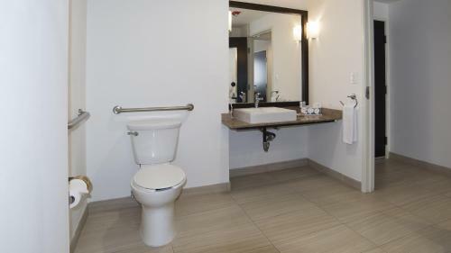 Hotel Holiday Inn Express Guadalajara Autonoma