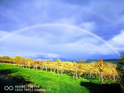 Apartamento Felicidad