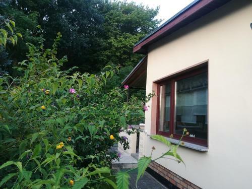 Ferienhaus Am Wald