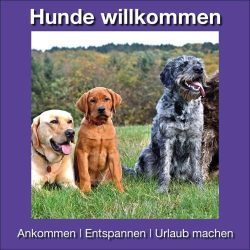 Apartamento Ferienwohnungen Beckendorf Schiller