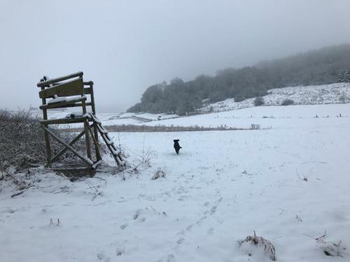 Apartamento Ferienwohnungen Beckendorf Schiller