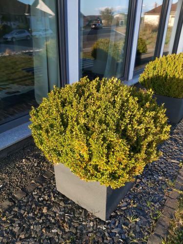 Apartamento Ferienwohnung Auszeit Im Haag