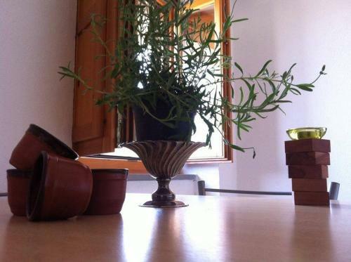 Apartamento Appartamenti Centro Policastro