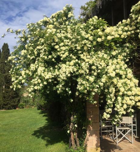 Agroturismo Agriturismo San Carlo