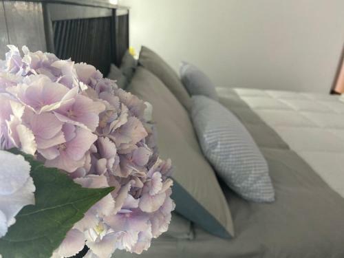 Bed & Breakfast Gio House Pompei