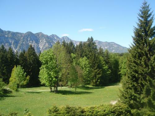 Apartamento Ferienwohnungen Hillbrand