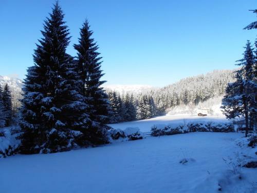 Apartamento Ferienwohnungen Hillbrand