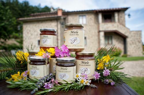 Agroturismo Podere Il Corniolino