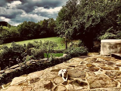 Hotel Pippo's Little Resort/2