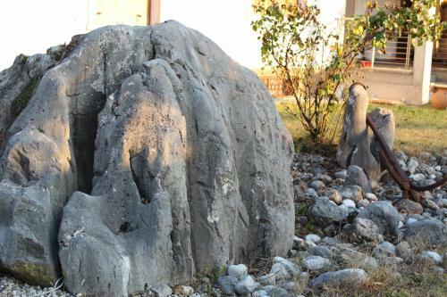 Bed & Breakfast Appartamento " Nella Natura "