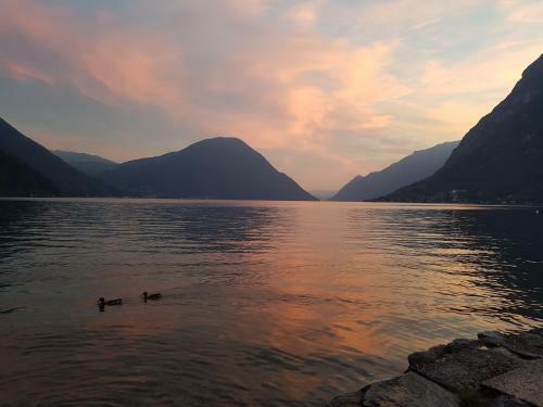 Apartamento Lugano 14a
