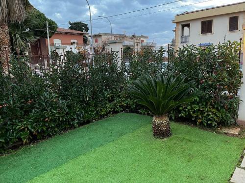 Appartavilla Olivella