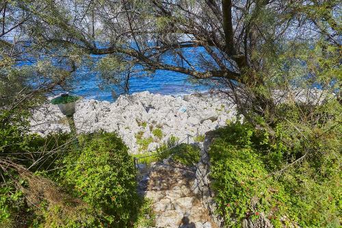 Villa Majus