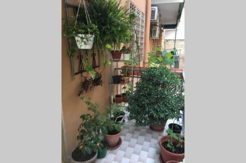 Apartamento Verde Centrale Home