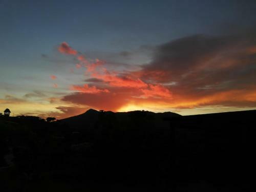 B&B Il Girasole