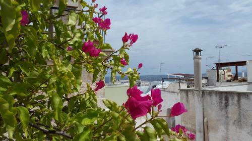 Apartamento La Casetta Nel Vico